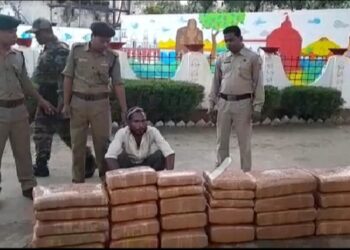 161 kg of illegal dry cannabis seized: one arrested