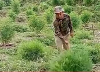 BSF – SENTINELS OF THE NATION CELEBRATES 58TH RAISING DAY:  2022