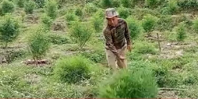 BSF – SENTINELS OF THE NATION CELEBRATES 58TH RAISING DAY:  2022