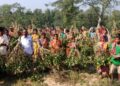 Thousands of tea pla­nts are being cut do­wn, tea workers are in despair, blocked road.​ ​ ​ ​ ​ ​ ​ ​