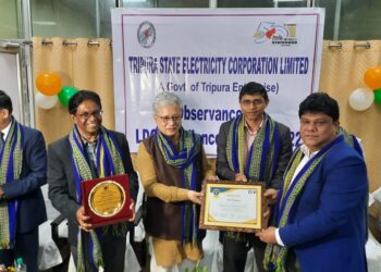 LDC Excellence Award held