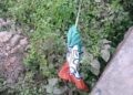 Trinamool Congress campaign decorations were vandalized in Kamalpur Assembly