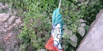 Trinamool Congress campaign decorations were vandalized in Kamalpur Assembly