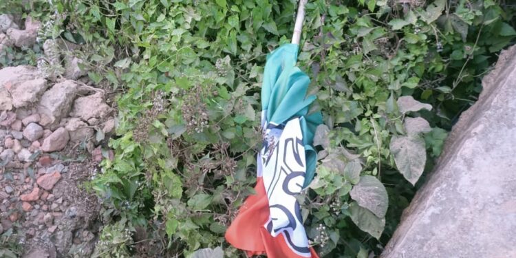 Trinamool Congress campaign decorations were vandalized in Kamalpur Assembly