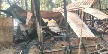 11 cows and three goats were burnt