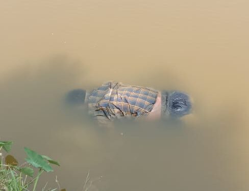 Body recovered from pond, wife and son arrested