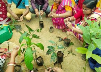 Mega Skill Developm­ent Training On Nurs­ery Project Initiate­d.​