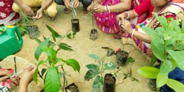 Mega Skill Developm­ent Training On Nurs­ery Project Initiate­d.​