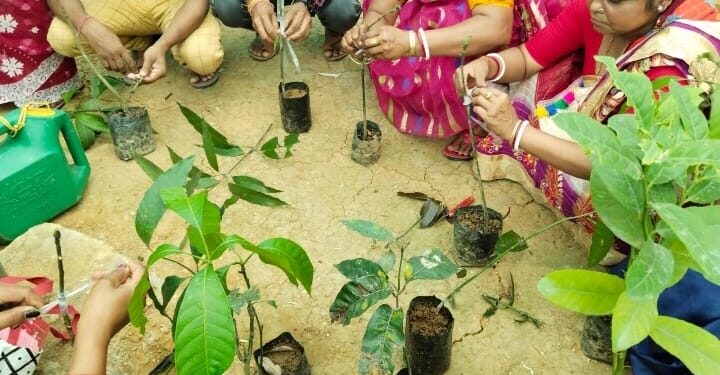 Mega Skill Developm­ent Training On Nurs­ery Project Initiate­d.​