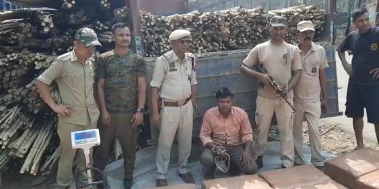 One arrested with dried cannabis