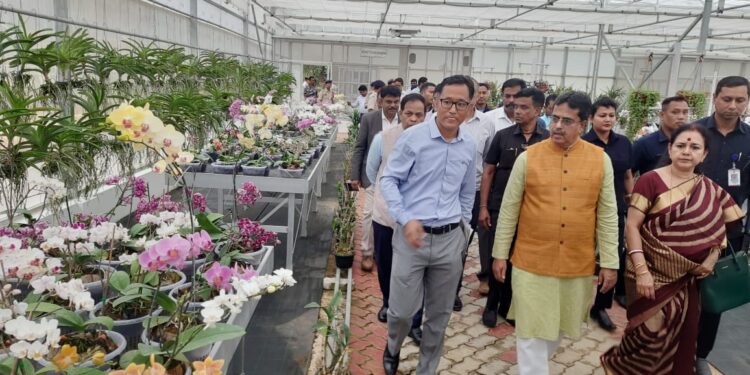 Govt will make Tripura drug free: Chief Minister