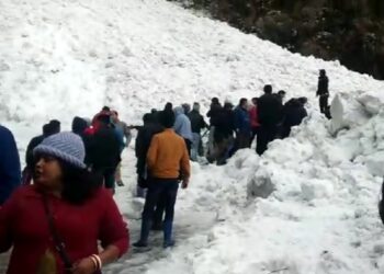 6 tourists succumbed to their injuries