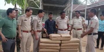 Cannabis seized during smuggling in the state