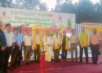 Outlet for Tripura pineapple opens in Dilli Haat