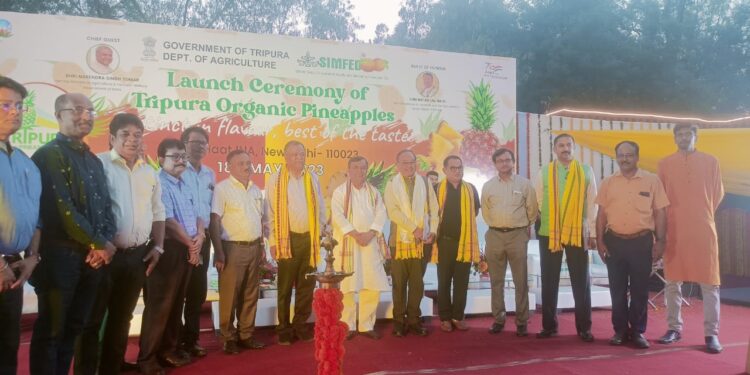 Outlet for Tripura pineapple opens in Dilli Haat