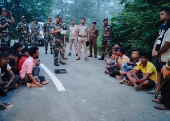 BSF TRIPURA SEIZES LARGE NUMBER OF CATTLE EN ROUTE TO TRIPURA FROM ASSAM