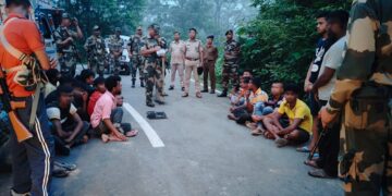BSF TRIPURA SEIZES LARGE NUMBER OF CATTLE EN ROUTE TO TRIPURA FROM ASSAM