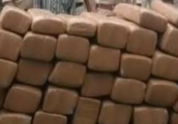 Tripura Police seize cannabis of Rs 27 lakh from Pecharthal