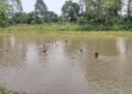 Three minors drown in Khowai river, shock brewing