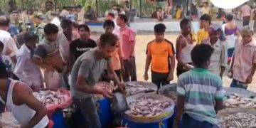 Srinagar Boarder Hast reopens