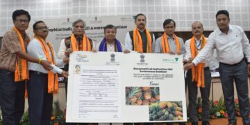 Drone technology introduced in agriculture sector: Ratan