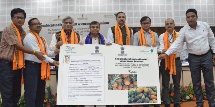 Drone technology introduced in agriculture sector: Ratan