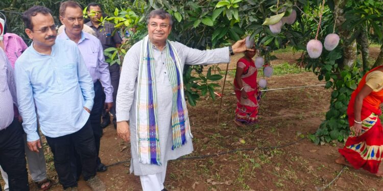 Tripura is eyeing mango production, exhibition of various fruits in the state with buyers from all over the country June 27: Agriculture Minister