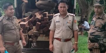 Forest Officials Seized Illegal Wood.           