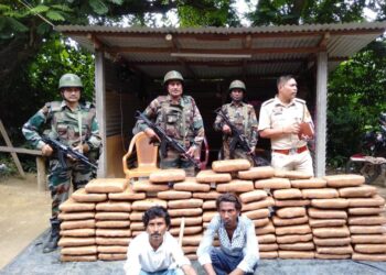 ASSAM RIFLES WITH AMBASSA POLICE APPREHENDED TWO INDIVIDUALS ALONGWITH MARIJUANA WORTH RS 1 CRORE IN TRIPURA