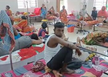 Dengue alert in Tripura: new case detected