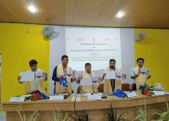 Per capita income has increased during the current government: Ratan