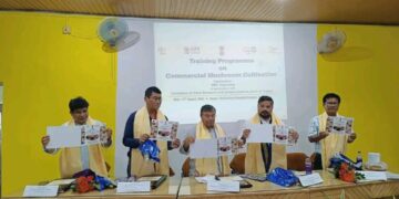 Per capita income has increased during the current government: Ratan