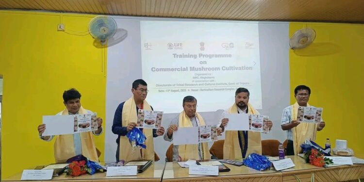 Per capita income has increased during the current government: Ratan