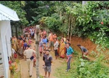 Elderly woman died after her grandson  attack with machete