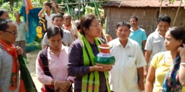 P.K J/M Collected Soil From Door To Door In Ampi.           