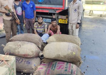 Two arrested while smuggling Burmese betel nuts