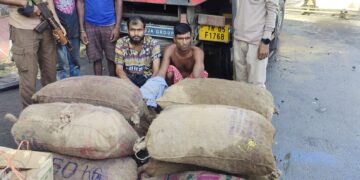 Two arrested while smuggling Burmese betel nuts