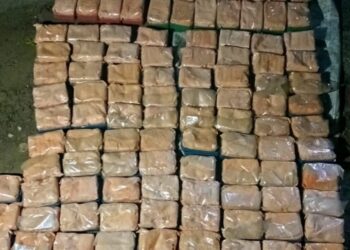 Mizoram Excise and Narcotics officials seized illegal drugs