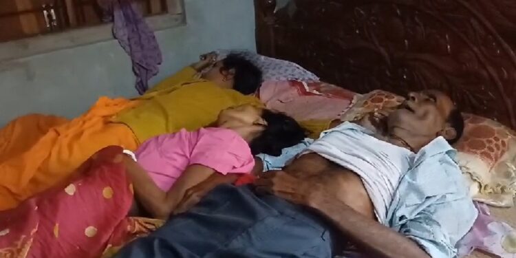 Three dead bodies recovered