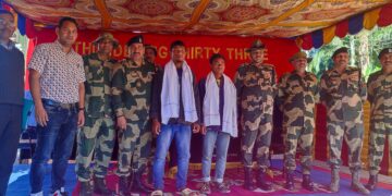 Two NLFT fighters surrender