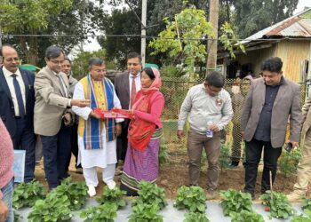 Tripura to be self-sufficient in potato seed production in next five years: Agriculture Minister
