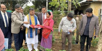 Tripura to be self-sufficient in potato seed production in next five years: Agriculture Minister