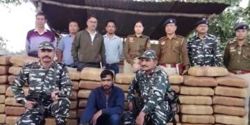 570 kg of dry cannabis seized: one arrested