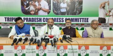 Congress Spokesperson Highlights Concerns Ahead of Lok Sabha Elections