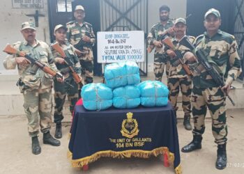 BSF Seizes 220 kg of Dry Cannabis and Valuable Clothes in Tripura Operations