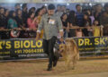 Dog carnival organizes at Agartala