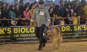 Dog carnival organizes at Agartala