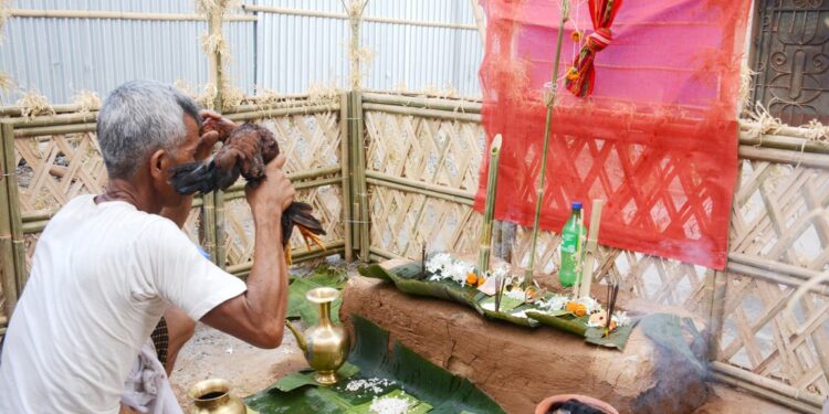 Garia Puja, Celebration in Tribal Communities, celebrates in state