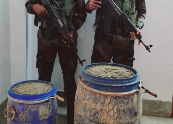 Assam Rifles and DRI Collaborate to Seize 62 kg of Ganja