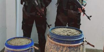 Assam Rifles and DRI Collaborate to Seize 62 kg of Ganja